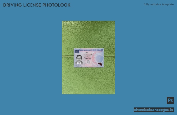 Belgischer Führerschein 2019-heute: Beispielansicht für die Fotoprüfung